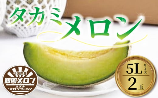 ＜2025年先行受付＞飯岡メロン 青肉 5L 約 1.7kg × 2玉 メロン 大玉 フルーツ 果物 プレゼント 贈答 ギフト デザート スイーツ おやつ 青肉 野菜 青果 お祝い お礼 母の日 父の日 誕生日 甘い 糖度 千葉県 旭市 706875 - 千葉県旭市