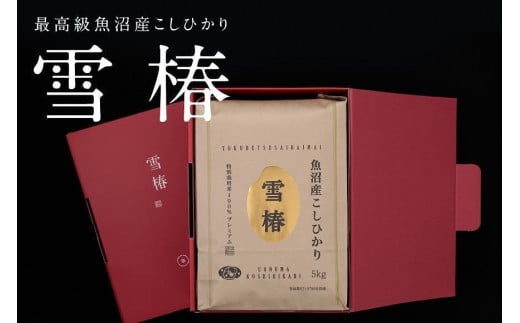 【2025年産新米】【化粧箱入り】最高級魚沼産コシヒカリ「雪椿」5kg (5kg×1袋)  特別栽培米 711529 - 新潟県津南町