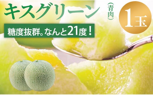 メロン めろん 糖度21度以上！ 奇跡のキスグリーン 1玉 青肉 めろん おすすめ 人気 国産 青 産地直送 茨城 鉾田 フルーツ 旬 大きい プレゼント 贈り物 贈答 旬 定番 果物 くだもの 大玉 甘い 青肉