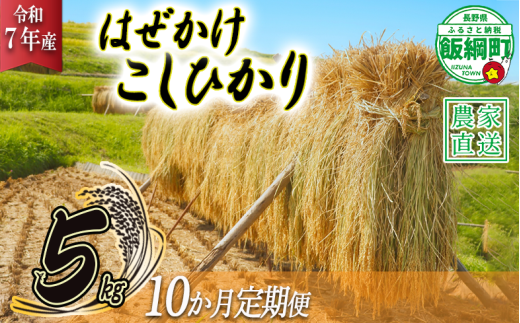 米 はぜかけ こしひかり 5kg × 10回 【 10か月 定期便 】( 令和7年産 ) 増田さんちのお米 沖縄県への配送不可 2025年11月上旬頃から順次発送予定 コシヒカリ 白米 精米 お米 信州 予約 農家直送 長野県 飯綱町 [0820]