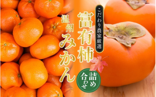 【先行予約】 道の駅くしがきの里セット 富有柿3個・温州みかん約30個の詰め合わせ こだわり農家厳選  【2025年11月中旬頃から2026年1月中旬頃順次発送】/ みかん 温州みかん 柿 富有柿 かき 詰め合わせ 果物詰め合わせ 果物 フルーツ おやつ【kgr022】