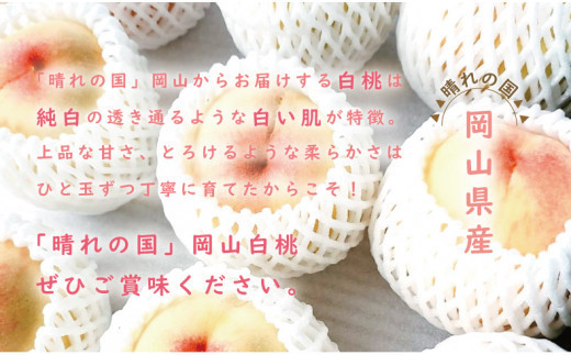 岡山県備前市のふるさと納税 【2025年4月1日より寄附金額改定】【2025年発送分 先行受付スタート！】岡山県産 白桃 最高ランク！ロイヤル約1.5kg 5～7玉（令和７年7月以降発送）hzP-C