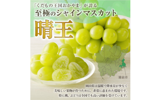 岡山県備前市のふるさと納税 【2025年4月1日より寄附金額改定】【2025年発送分 先行受付スタート！】岡山県産シャインマスカット「晴王」　秀品　1房（約600g）（令和７年8月中旬以降発送）hzS-M