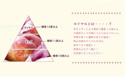 岡山県備前市のふるさと納税 【2025年4月1日より寄附金額改定】【2025年発送分 先行受付スタート！】岡山県産 白桃 最高ランク！ロイヤル約1.5kg 5～7玉（令和７年7月以降発送）hzP-C