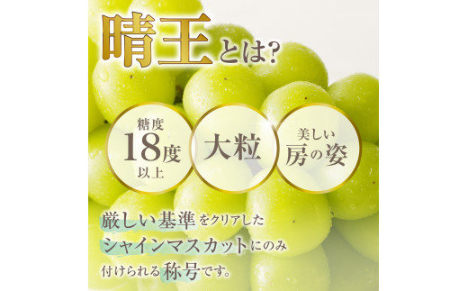 岡山県備前市のふるさと納税 【2025年4月1日より寄附金額改定】【2025年発送分 先行受付スタート！】岡山県産シャインマスカット「晴王」　秀品　1房（約600g）（令和７年8月中旬以降発送）hzS-M