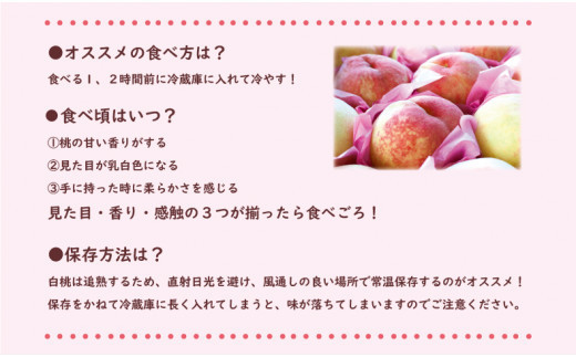 岡山県備前市のふるさと納税 【2025年4月1日より寄附金額改定】【2025年発送分 先行受付スタート！】岡山県産 白桃 最高ランク！ロイヤル約1.5kg 5～7玉（令和７年7月以降発送）hzP-C