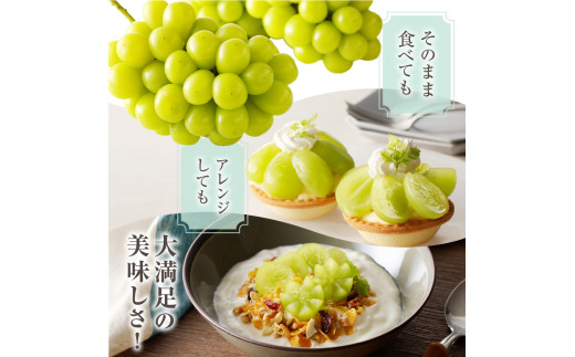 岡山県備前市のふるさと納税 【2025年4月1日より寄附金額改定】【2025年発送分 先行受付スタート！】岡山県産シャインマスカット「晴王」　秀品　1房（約600g）（令和７年8月中旬以降発送）hzS-M