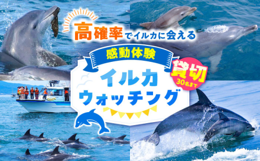 南島原 貸切 イルカウォッチング / 観光チケット 体験 貸し切り / 南島原市 / 南島原イルカウォッチング [SAE007]