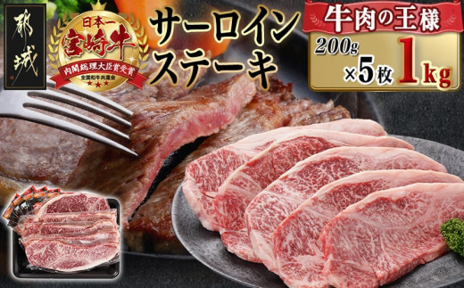 宮崎牛サーロインステーキ(200g×5枚)_38-N402_(都城市) ステーキ 牛肉 宮崎牛 和牛 国産 サーロイン 1kg 贈答用 ギフト
