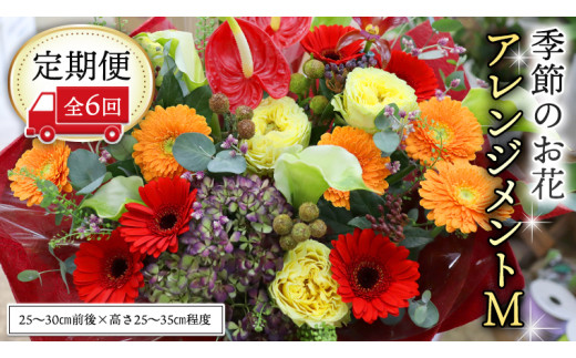 ≪定期便≫季節のお花アレンジメントM＊6回 アレンジメント 生花 [CT020ci]