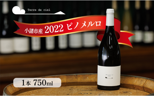 ワイン　2022 ピノメルロ 750ml 赤ワイン お酒 酒 アルコール 長野県 小諸市 小諸 ギフト プレゼント[№5915-1524]
