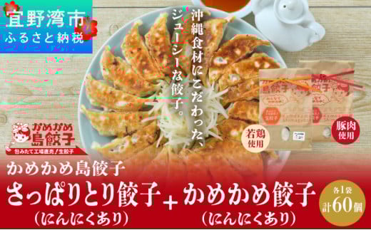 かめかめ島餃子 (豚肉・やんばる若鶏/にんにくあり) 30個 × 2袋 | さっぱりとり餃子(若鶏・にんにくあり) かめかめ餃子(豚肉・にんにくあり) | 包みたて 工場直売 餃子 シママース | 簡単調理 手軽 | 餃子 豚肉 鶏肉 出汁 沖縄 お取り寄せ グルメ 冷凍 988044 - 沖縄県宜野湾市