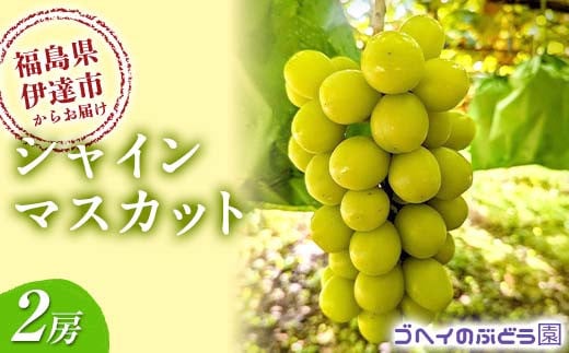 12月発送！ シャインマスカット 2房 (1.2～1.4kg) 果物 くだもの フルーツ 国産 名産 食品 F21C-116
