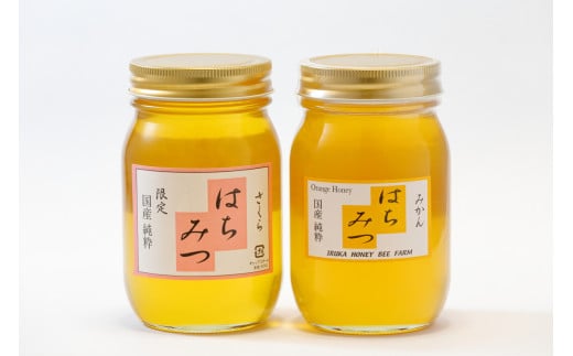 34-5_入鹿はちみつ600g 2本セット 2031762 - 愛知県犬山市