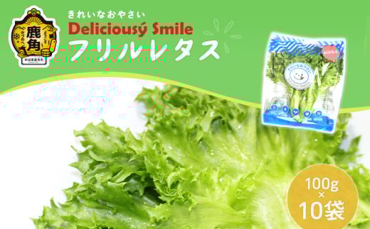 [ 農薬不使用 ]フリルレタス 100g×10袋[バイテックファーム鹿角]レタス 1kg 小分け 便利 朝どれ エコ 安心安全 簡単調理 とれたて 新鮮 栄養 朝食 健康 野菜 サラダ 旬 甘い グルメ 故郷 秋田 あきた 鹿角市 鹿角 送料無料