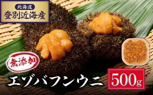 先行予約 北海道 登別近海産 無添加 極上エゾバフンウニ 塩水パック 500g ※2025年6月よりお届け | 魚貝類 ウニ 雲丹 無添加 うに 極上エゾバフンウニ 塩水パック うに 高級 ウニ 雲丹 生ウニ 塩水 人気 ふるさと納税 北海道 登別市