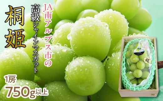 【特別厳選品のため数量限定】シャインマスカット「桐姫」　ALPAA048 ｜ 山梨 山梨県 ぶどう 葡萄 ブドウ マスカット 種なし 大粒 フルーツ くだもの 果物 高級 新鮮 産地直送 贈答 ギフト 家庭用  2025年 JA JA南アルプス市 南アルプス | 2020661 - 山梨県南アルプス市