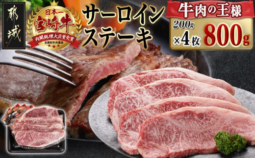 宮崎牛サーロインステーキ(200g×4枚)_34-N401_(都城市) ステーキ 牛肉 宮崎牛 和牛 国産 サーロイン 800g 贈答用 ギフト