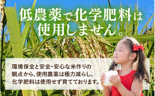 福井県あわら市のふるさと納税 【先行予約】【令和7年産 新米】 化学肥料不使用ハナエチゼン 精米 5kg（5kg×1袋）　/ 米 白米 福井県あわら市産 ブランド米 美味しい 特別栽培米 減農薬 安心な米 旨味 甘み エコファーマー 冷蔵保管米 ※2025年8月下旬より順次発送 [aw010-a003]