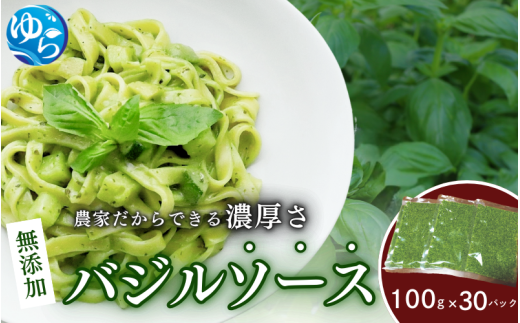 お得なパック入り30袋　農家だからできる濃厚『バジルソース　ジェノベーゼ』【fmlb050】 1383729 - 和歌山県由良町