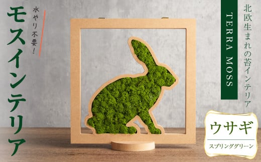 モスインテリア「ウサギ」(スプリンググリーン) ＜横200mm・高さ200mm・幅15mm＞ 観葉植物  苔 コケ テラモス インテリア 植物 【結び】 sh029-A