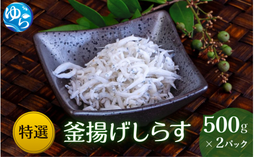 \レビューキャンペーン中/プレミア和歌山認定 特選 釜揚げしらす(500gパック入り×2つ)【uoms001】 483031 - 和歌山県由良町