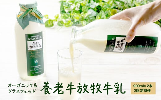 【定期便：全2回】 オーガニック グラスフェッド 2本 牛乳 放牧 有機 北海道 有機JAS認証 低温殺菌 ノンホモ製法 牛乳瓶 瓶 ビン 定期便 養老牛 山本牧場 ふるさと納税 中標津 中標津町【1300201】