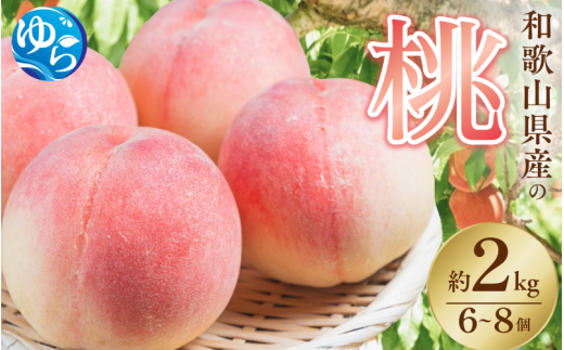 ＼レビューキャンペーン中／【先行予約】和歌山県産の桃 約2kg（6~8個）【2025年7月上旬～8月上旬発送】※北海道・沖縄・離島配送不可 [Ei1] / モモ もも 由良町 季節限定 果物 くだもの フルーツ 産地直送 和歌山【eiw012】