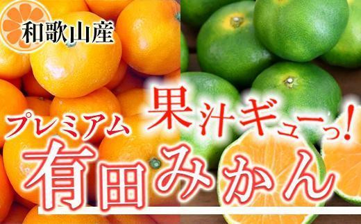 プレミアム 有田みかん1kg+250g（傷み補償分）［2025年10月上旬から2026年1月下旬頃順次発送予定］ 485142 - 和歌山県九度山町