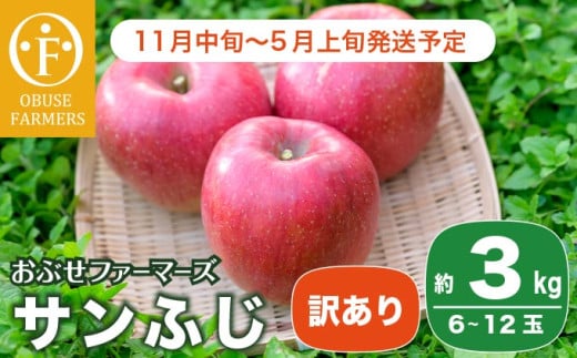 【訳あり】 サンふじ 約3kg 6～12玉［おぶせファーマーズ］ 不揃い 規格外 家庭用 りんご 林檎 リンゴ 果物 フルーツ ふじ 長野 信州 数量限定  【2024年11月中旬～2025年5月上旬発送】［FH-51］ 253281 - 長野県小布施町