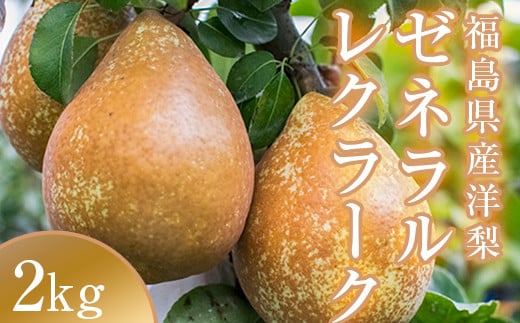 阿部農縁 希少な洋梨ゼネラルレクラーク2kg(4〜6玉) 福島の洋梨