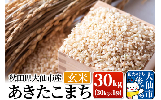 新米 米【令和7年産】あきたこまち 玄米 30kg（30kg×1袋）秋田県大仙市産