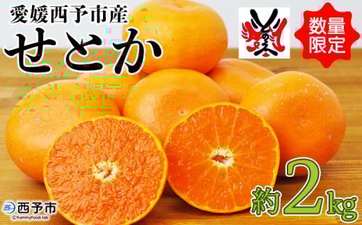 先行予約 数量限定＜愛媛西予市産 せとか 約2kg＞ 果物 くだもの フルーツ 柑橘類 ミカン みかん 甘い 特産品 糖度 家庭用 自宅用 産地直送 渡江から一歩を踏み出す会 食べて応援 愛媛県 西予市 【常温】 513763 - 愛媛県西予市