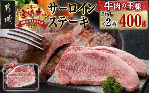 宮崎牛サーロインステーキ(200g×2枚)_AC-N401_(都城市) 4等級以上 ステーキ 牛肉 宮崎牛 和牛 国産 サーロイン 400g サシ 霜降り 真空パック 贈答用 ギフト