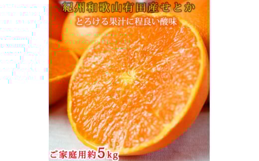 とろける食感!ジューシー柑橘 せとか 約5kg 【家庭用 訳あり】 ※2026年2月上旬～3月中旬頃に順次発送予定