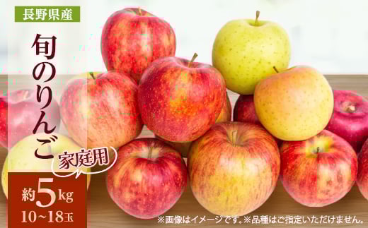 ＜2025年発送＞家庭用　長野県北信州のりんご　約5kg(10～18玉程度)おまかせ1品種【1575381】 1697183 - 長野県中野市
