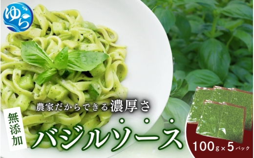 農家だからできる濃厚『無添加　バジルソース』 パック 100ｇ×5【fmlb045】 1256630 - 和歌山県由良町