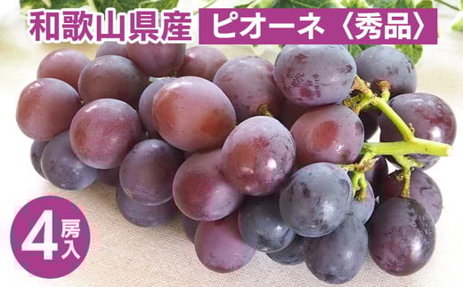 ◆先行予約◆ 和歌山県産 ピオーネ 4房入り〈秀品〉 ※2025年8月下旬～9月上旬頃に順次発送予定 ※離島への配送不可