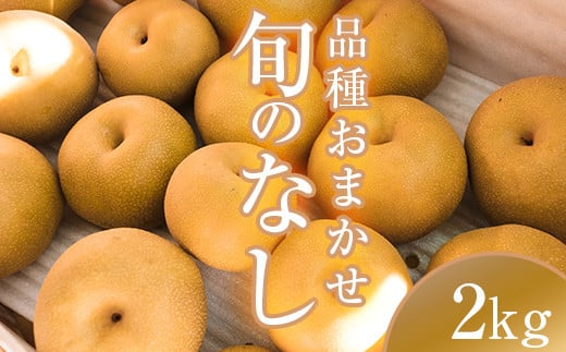 阿部農縁 福島県の和梨 品種おまかせ 旬のなし2kg(5〜8玉) ギフト・贈答用