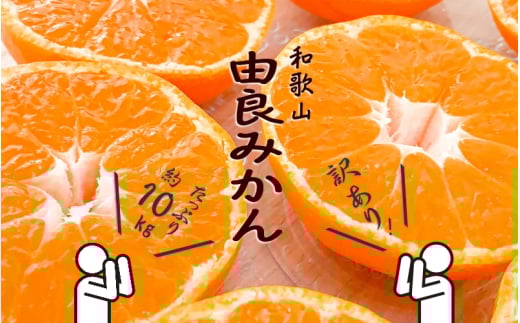 和歌山由良みかん 約10kg 訳あり 家庭用キズあり サイズおまかせ (2L~2S)いずれかお届け【sml112】 483811 - 和歌山県由良町