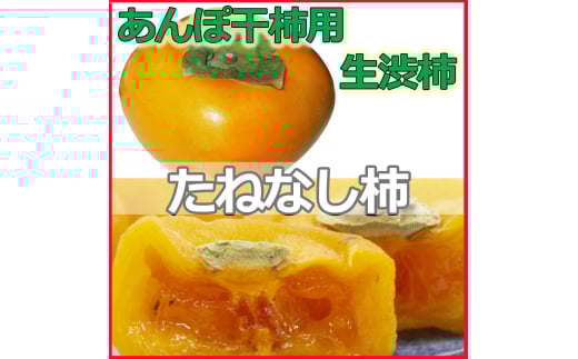 生渋柿たね無 あんぽ柿用T軸枝無約14.5～15kg　約60～90個＜2025年10月中旬～11月上旬ごろ順次発送＞【ART15】【art002A】 1010547 - 和歌山県由良町