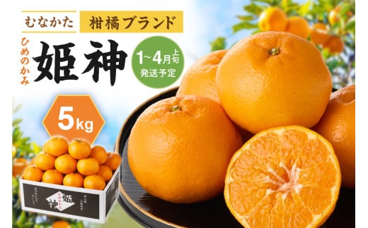 旬のミカンをお届け！JAむなかた柑橘ブランド「姫神」5kg 甘くておいしいみかん【2026年1月～4月上旬発送】【ほたるの里】_HA0280 537277 - 福岡県宗像市