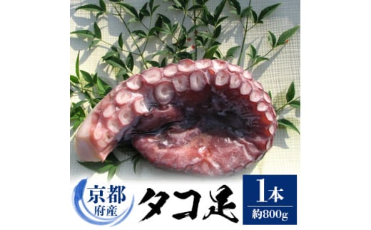 京都府産 タコ足 1本(冷凍:鮮度抜群真空パック)<共通返礼品>【1045456】 2046816 - 京都府与謝野町