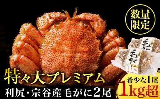 【2025年4月以降発送】北海道 利尻・宗谷産 毛ガニ プレミアム （1kg以上） 2尾セット ＜利尻漁業協同組合＞ 1396635 - 北海道利尻富士町