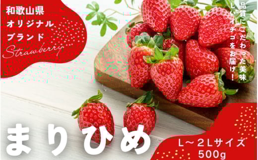 【先行予約】まりひめイチゴ L～２L 12粒～15粒×2パック【2026年1月中旬から発送】【先行販売】【KG7】【kgr007A】 1235452 - 和歌山県由良町
