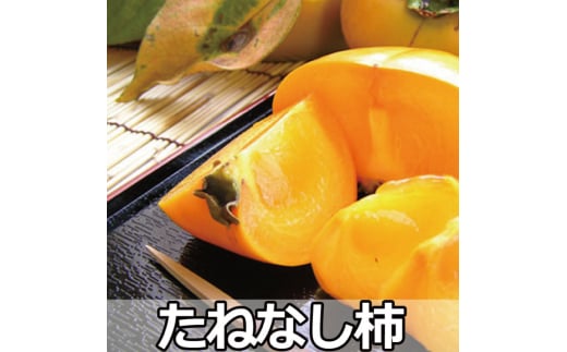 採れたてタネなし柿“3L”サイズ7.5kg＜2025年10月中旬～10月下旬頃発送予定＞【ART19】【art021A】 979039 - 和歌山県由良町