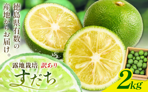 佐那河内名産 訳あり B級 露地栽培 すだち 2kg 露地すだち スダチ 一般財団法人さなごうち《9月中旬-11月上旬頃出荷》徳島県 佐那河内村 送料無料 スダチ 露地 魚 豆腐 冷奴 焼き魚 天ぷら 刺身 徳島県産 538096 - 徳島県佐那河内村