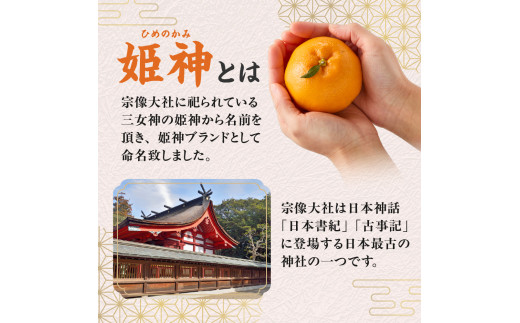 旬のミカンをお届け！JAむなかた柑橘ブランド「姫の神」5kg 甘くておいしいみかん