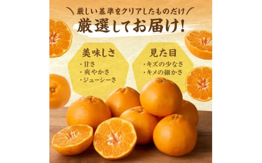 旬のミカンをお届け！JAむなかた柑橘ブランド「姫の神」5kg 甘くておいしいみかん