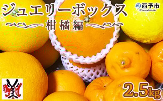 愛媛県明浜産 ジュエリーボックス(柑橘編)2.5kg【4月配送】 560944 - 愛媛県西予市
